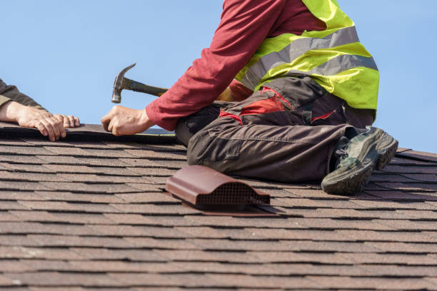 Best Shingle Roofing Installation  in Amory, MS