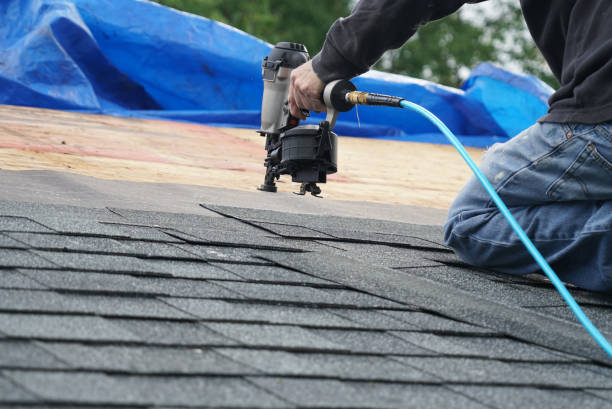 Best Gutter Installation and Roofing  in Amory, MS