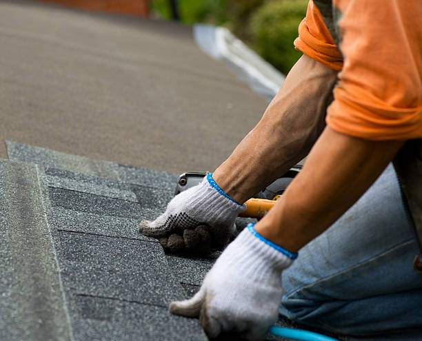 Best Roof Maintenance Services  in Amory, MS